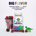 kal-jurassic-elderberry-kids-gummies-hea-4.jpg