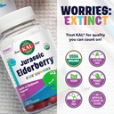 kal-jurassic-elderberry-kids-gummies-hea-5.jpg
