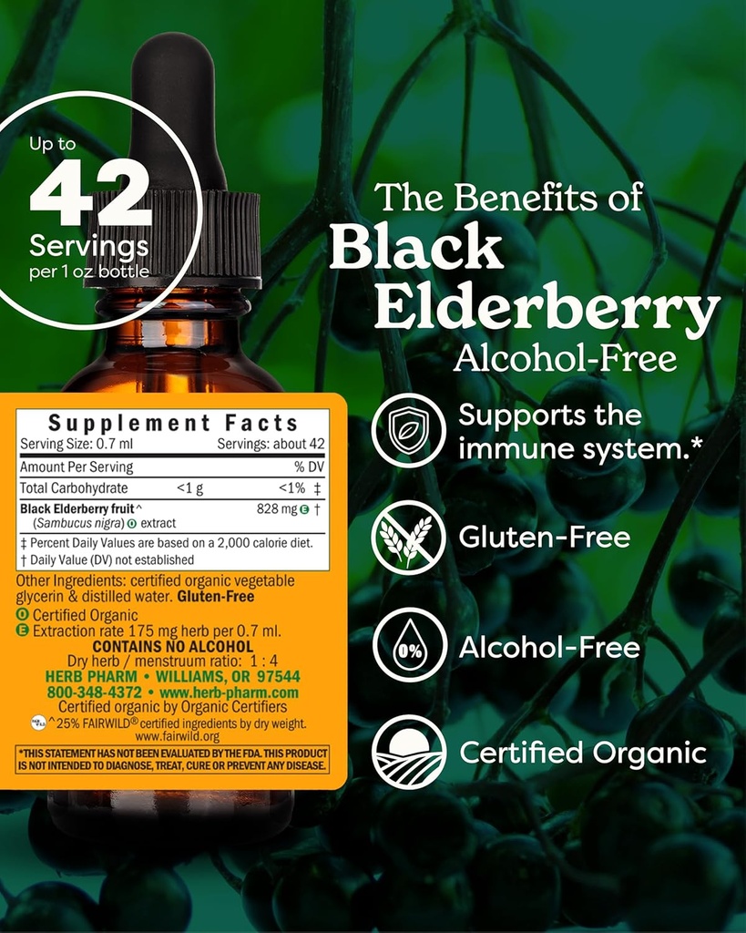 herb-pharm-certified-organic-black-elder-2.jpg
