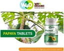 papaya-leaf-extract-capsules-tablets---3-4.jpg