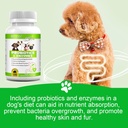 probiotics-for-dogs-180-chews-dog-probio-5.jpg