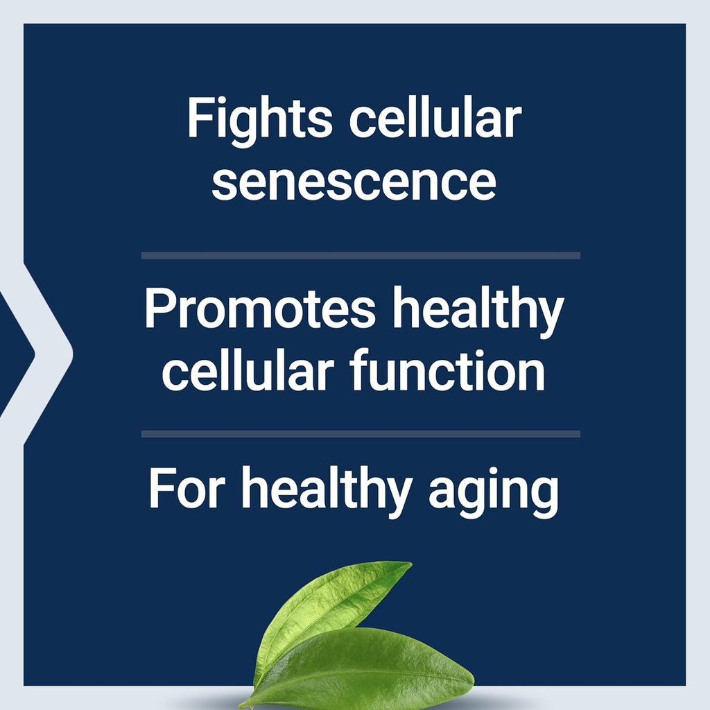 life-extension-geroprotect-ageless-cellT-4.jpg