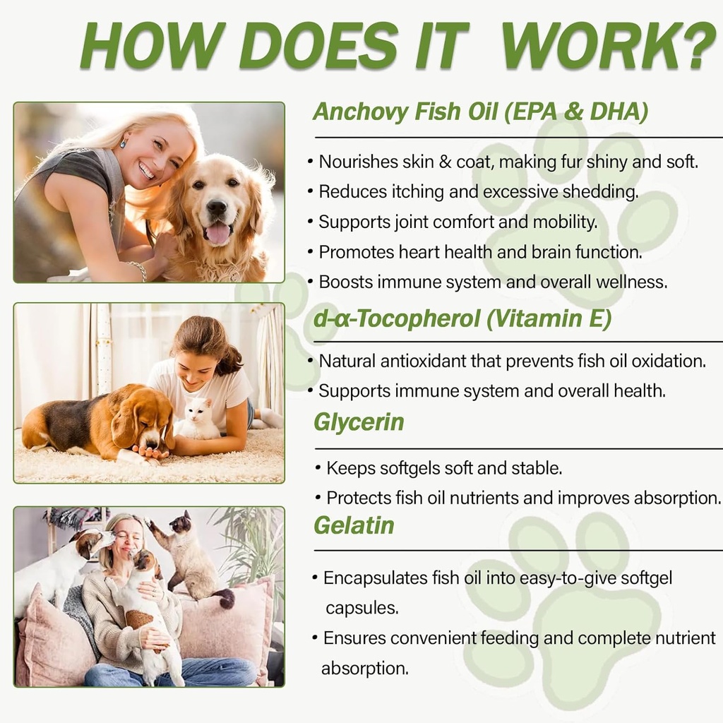 omega-3-fish-oil-for-dogs-and-cats-dog-c-3.jpg