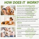 omega-3-fish-oil-for-dogs-and-cats-dog-c-3.jpg