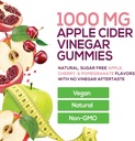 vegan-apple-cider-vinegar-gummy-1000mg---3.jpg