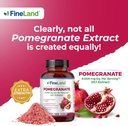 fineland-pomegranate-extract-201-8000-mg-6.jpg