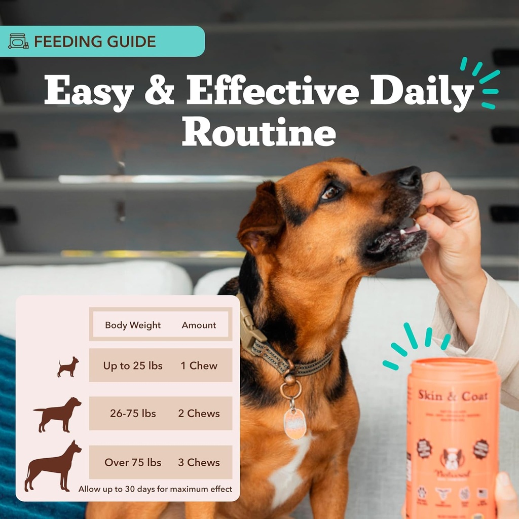 natural-dog-company-skin-coat-supplement-6.jpg