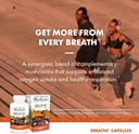 host-defense-breathe-capsules---immune-r-5.jpg