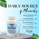 elderwise-sea-moss-capsules---sea-moss-w-3.jpg
