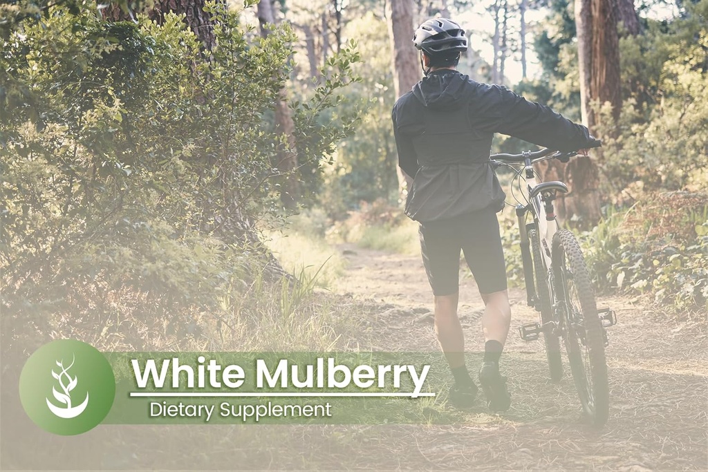 pure-original-ingredients-white-mulberry-5.jpg