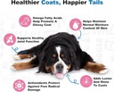 doggie-dailies-skin-coat-supplement-supp-4.jpg