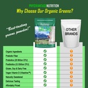 physivantage---organic-greens-powder---h-4.jpg