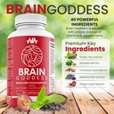 womens-brain-supplement-and-focus-suppor-6.jpg