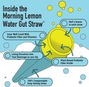 gut-straw-morning-lemon-water-straw---a--2.jpg