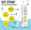 gut-straw-morning-lemon-water-straw---a--6.jpg