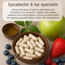 grit-fuel-endurance-capsules-with-epicat-3.jpg
