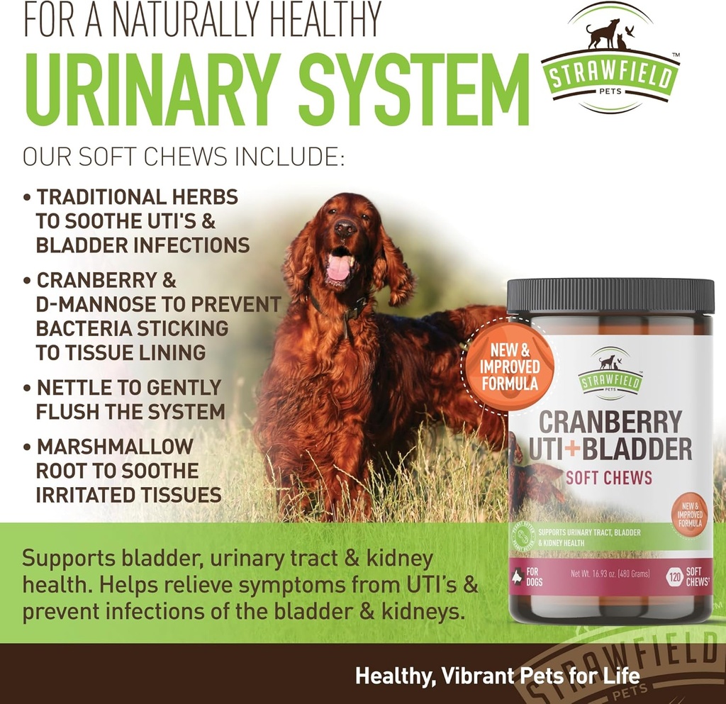 cranberry-uti-treatment-for-dogs-soft-ch-6.jpg