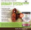 cranberry-uti-treatment-for-dogs-soft-ch-6.jpg