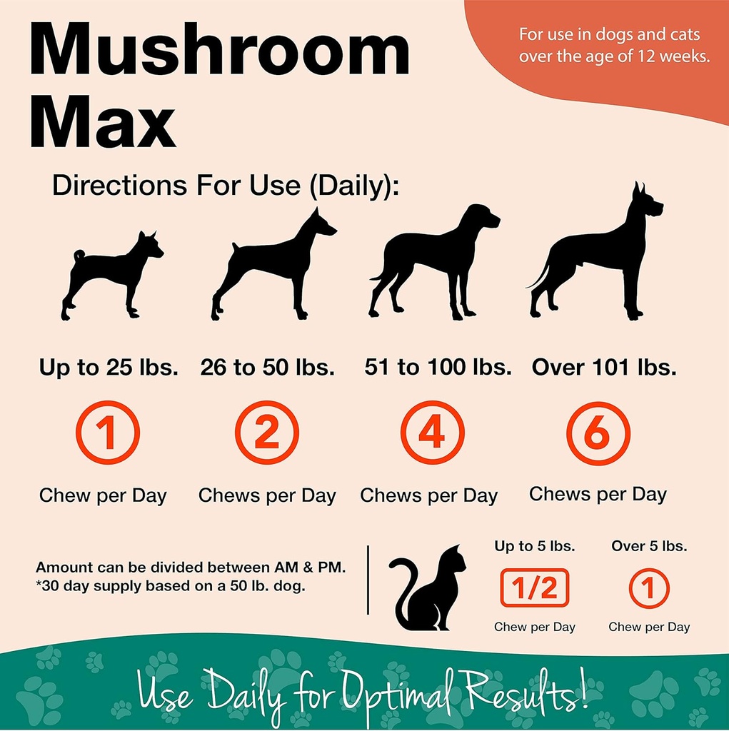 naturvet-mushroom-max-advanced-immune-su-3.jpg