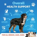 omega-3-fish-oil-for-dogs---better-than--2.jpg