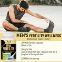 fertility-supplements-for-men-male-ferti-5.jpg