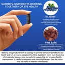vision-defender-bp-eye-supplement-bilber-3.jpg