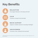 dr-amen-brainmd-gaba-calming-support---9-4.jpg