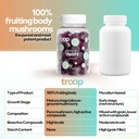 troop-reishi-mushroom-gummies---calming--6.jpg