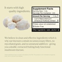 lions-mane-extract---double-extracted-fr-5.jpg