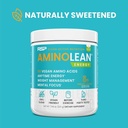 rsp-vegan-aminolean-all-in-one-natural-p-2.jpg