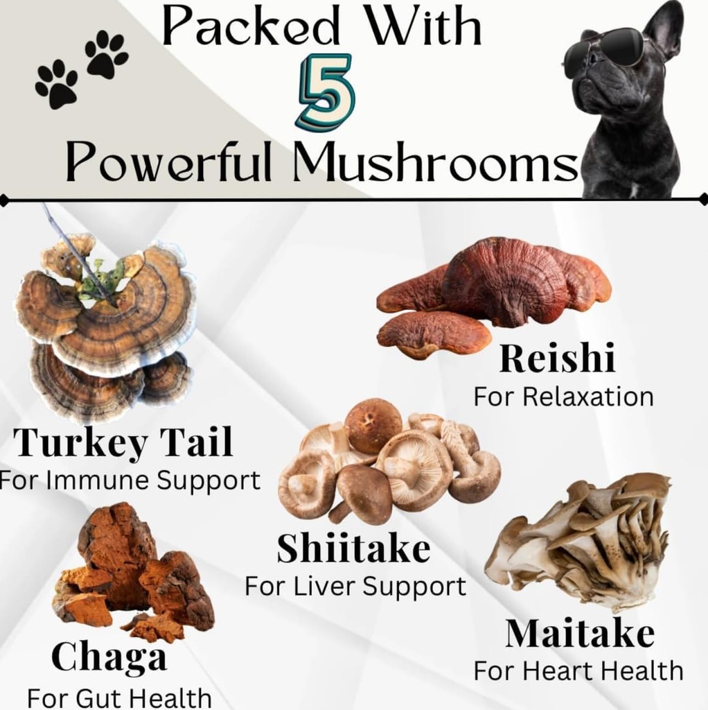 dogs-immune-support-mushroom-supplement--2.jpg