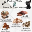 dogs-immune-support-mushroom-supplement--2.jpg