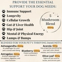 dogs-immune-support-mushroom-supplement--4.jpg