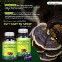 mushroom-gummies-lions-mane-supplement-m-4.jpg