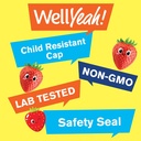 wellyeah-kids-vitamin-b12-1000mcg-sugar--3.jpg