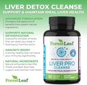 liver-cleanse-detox-repair---fatty-liver-4.jpg