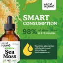wild-organic-sea-moss-drops---overall-su-4.jpg