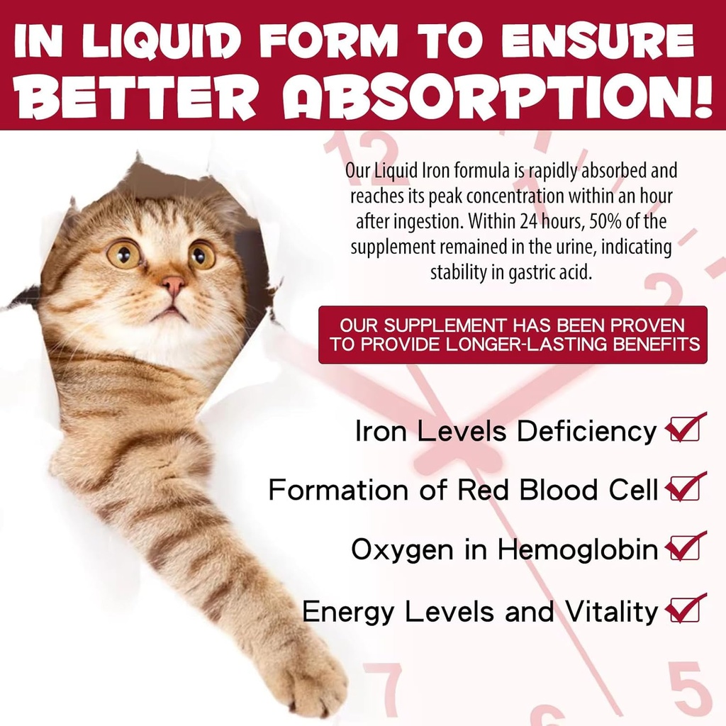 liquid-iron-supplements-for-cats-and-kit-2.jpg