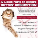 liquid-iron-supplements-for-cats-and-kit-2.jpg