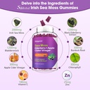 2-pack-irish-sea-moss-gummies-with-elder-3.jpg