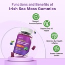 2-pack-irish-sea-moss-gummies-with-elder-4.jpg