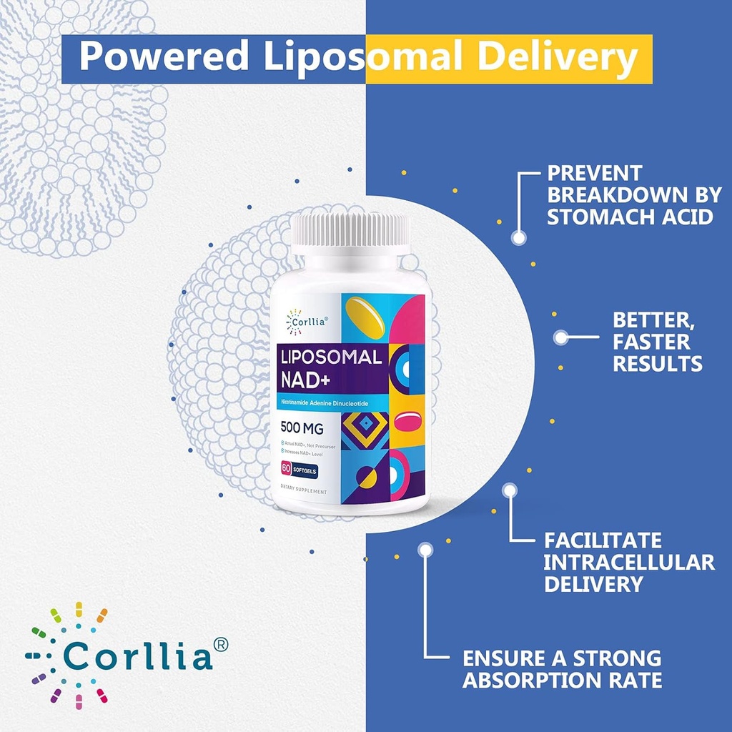 liposomal-nad-500mg-with-tmg-250mg-softg-3.jpg
