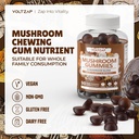 mushroom-gummies-10-blend---mushroom-com-2.jpg