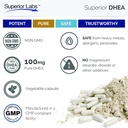 superior-labs-extra-strength-natural-dhe-6.jpg