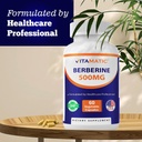 vitamatic-berberine-supplement-500mg---6-4.jpg