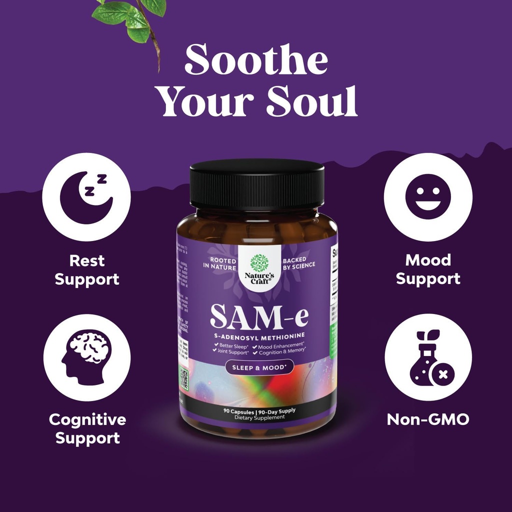 bundle-of-pure-sam-e-nootropic-brain-sup-4.jpg