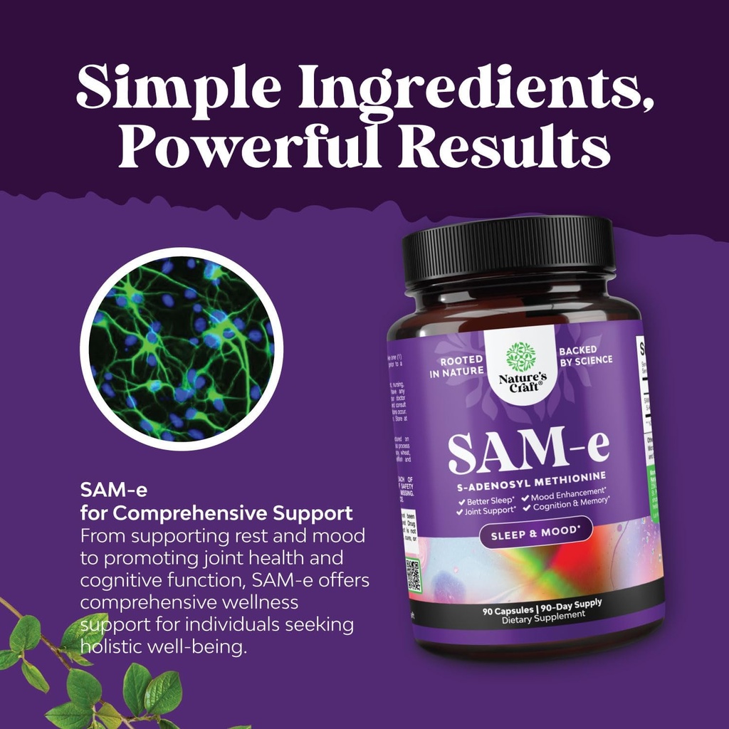 bundle-of-pure-sam-e-nootropic-brain-sup-6.jpg