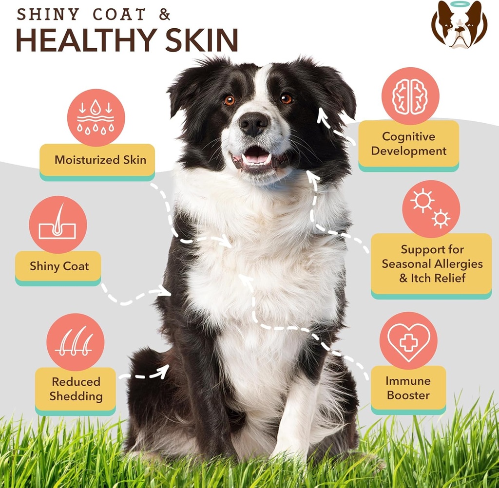 natural-dog-company-skin-coat-health-bun-5.jpg