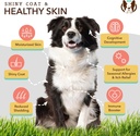 natural-dog-company-skin-coat-health-bun-5.jpg