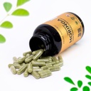 moringa-powder-capsules---pure-moringa-p-5.jpg